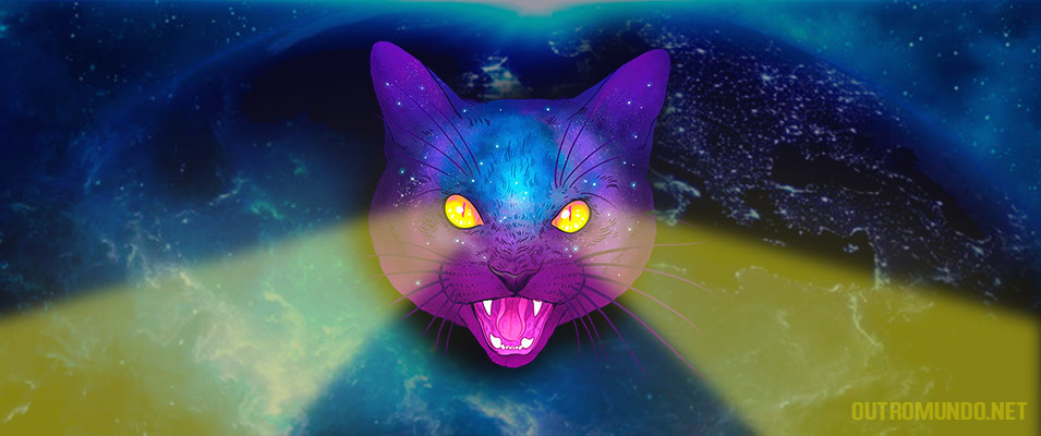 Podem os gatos ver extraterrestres invisíveis ao olho humano?